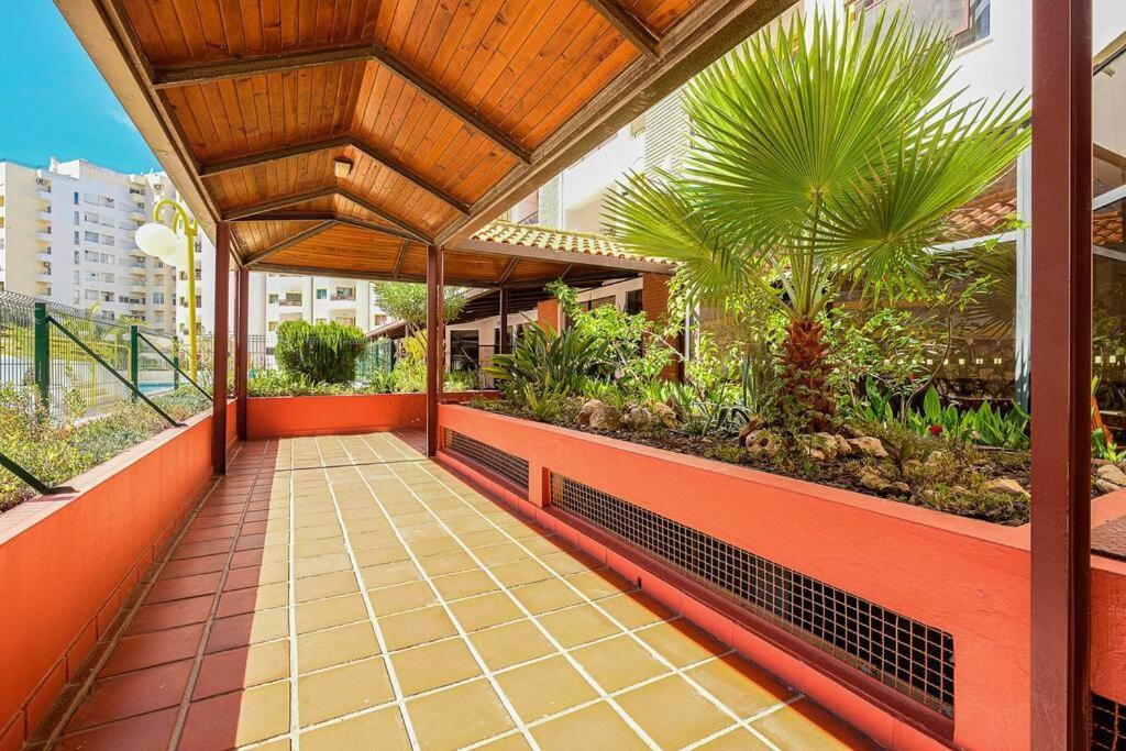פורטימאו T2 With Pool, 300M From The Beach מראה חיצוני תמונה